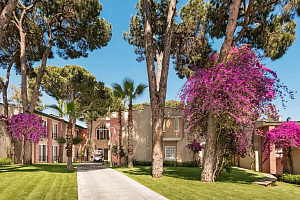 Реабилитация и физиотерапия в Турции: «Pine Beach Belek» 5*